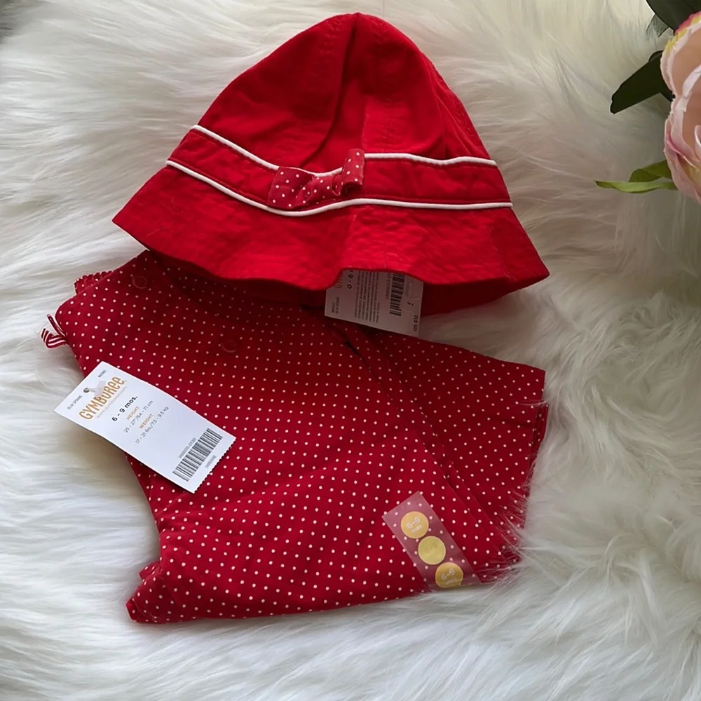 NWT Gymboree Set